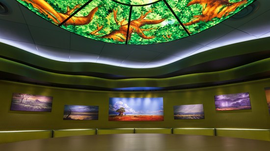 Landscape of Flavors